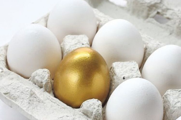 Яйця нині стали «золотими»:  40 гривень за десяток