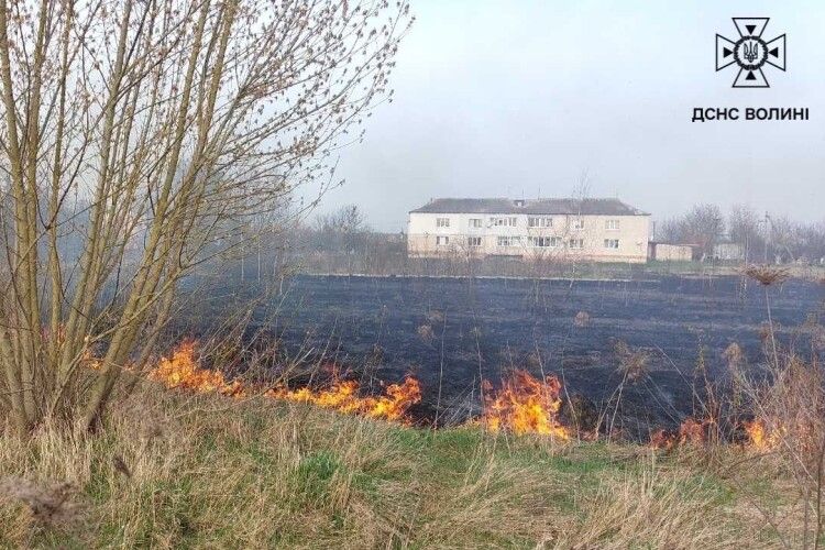 Жителі Луцького району відповідатимуть за спалювання сухої рослинності