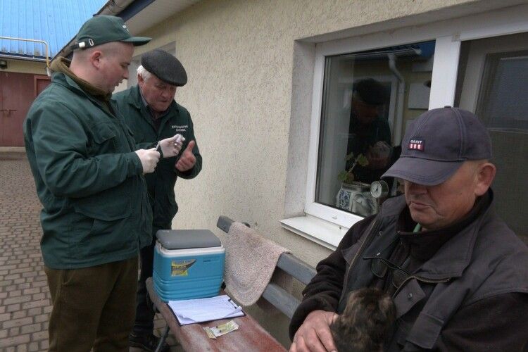 У селі на Волині безкоштовно вакцинували від сказу котів і собак (Відео)