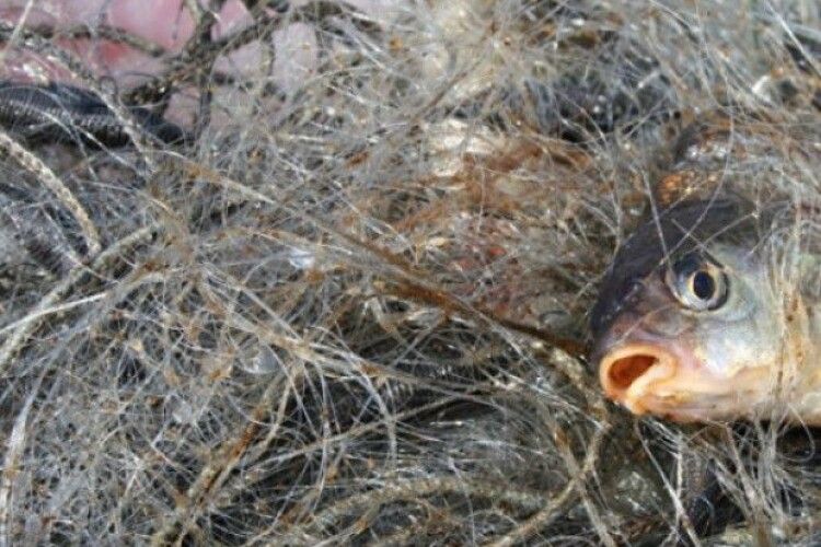Волинські рибоохоронці виявили 5 порушників на Мар’янівському водосховищі 