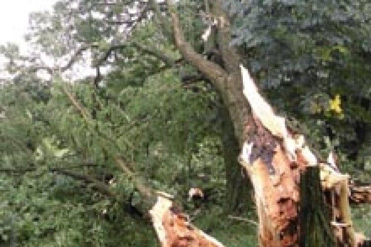 НАЙБІЛЬШЕ ПОСТРАЖДАВ ЛОКАЧИНСЬКИЙ РАЙОН