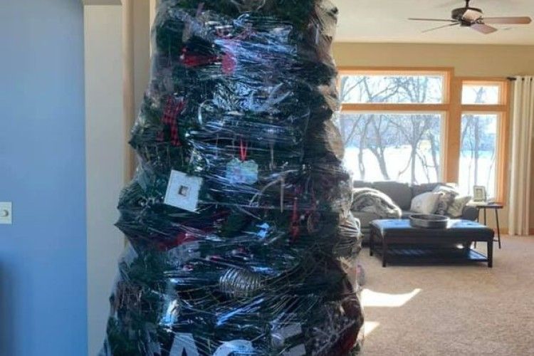 Найледачіший у світі спосіб збирання новорічної ялинки