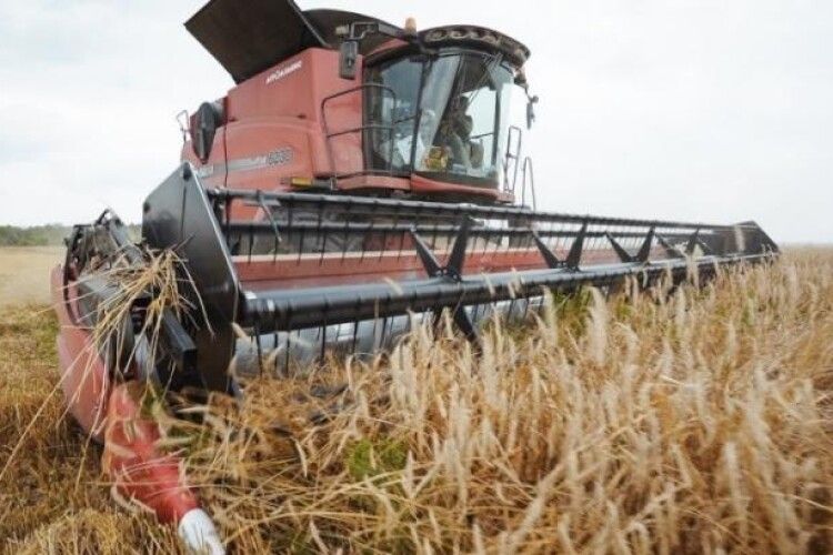 В Україні вже намолочено майже півтора мільйона тонн зерна нового врожаю