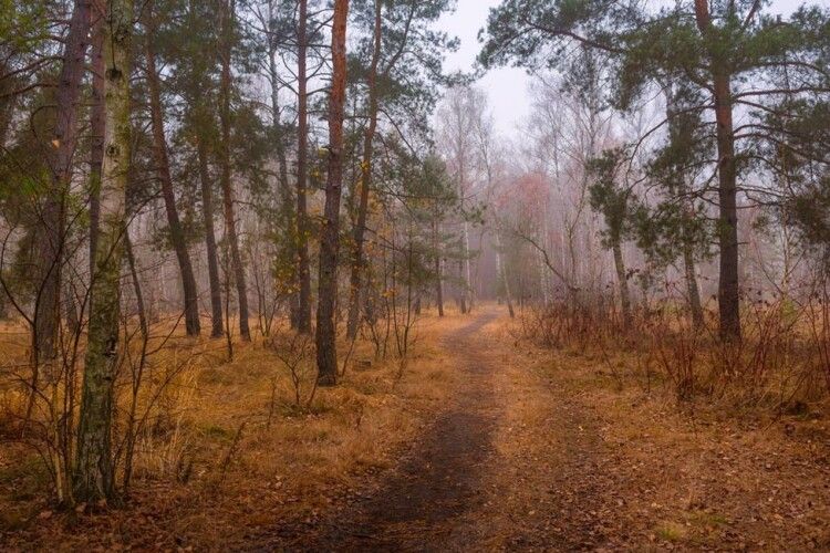 Чим здивує погода в ці дні волинян