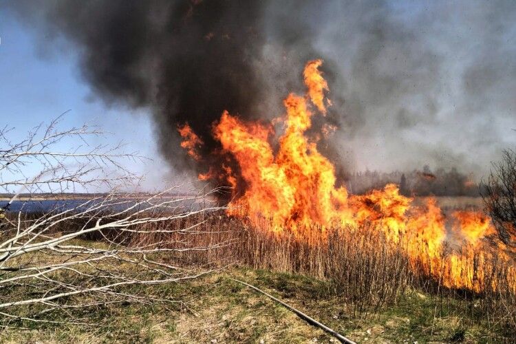 На Волині за вихідні сталося 27 пожеж на відкритих територіях