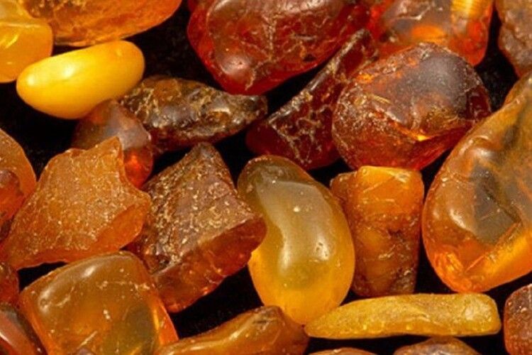 На Рівненщині судитимуть чоловіка, який зберігав бурштин у колодязі 