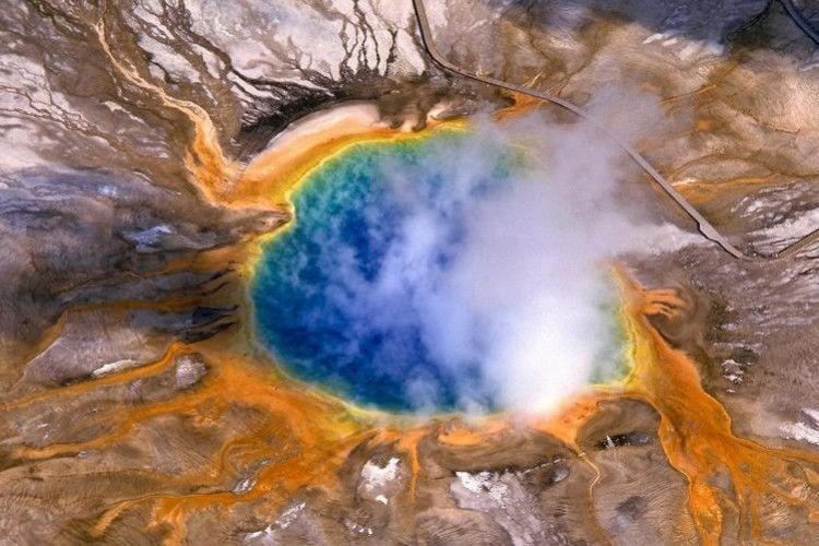 У Єллоустонських гейзерах виявили вірус, здатний перемогти рак