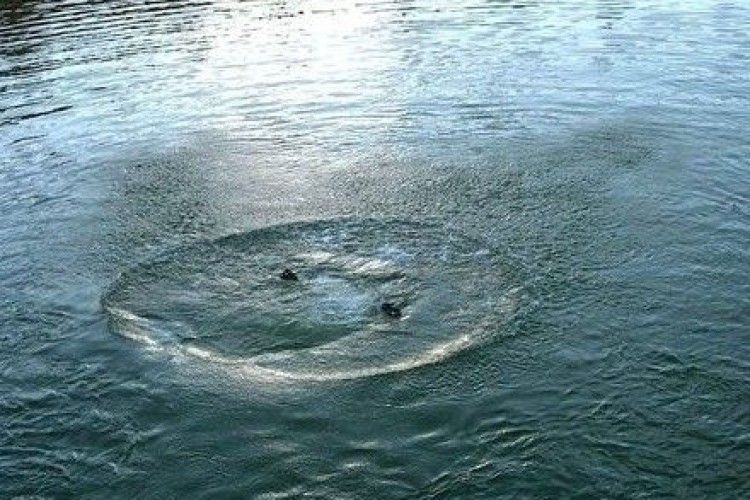 У річці знайшли тіло чоловіка, який зник три місяці тому