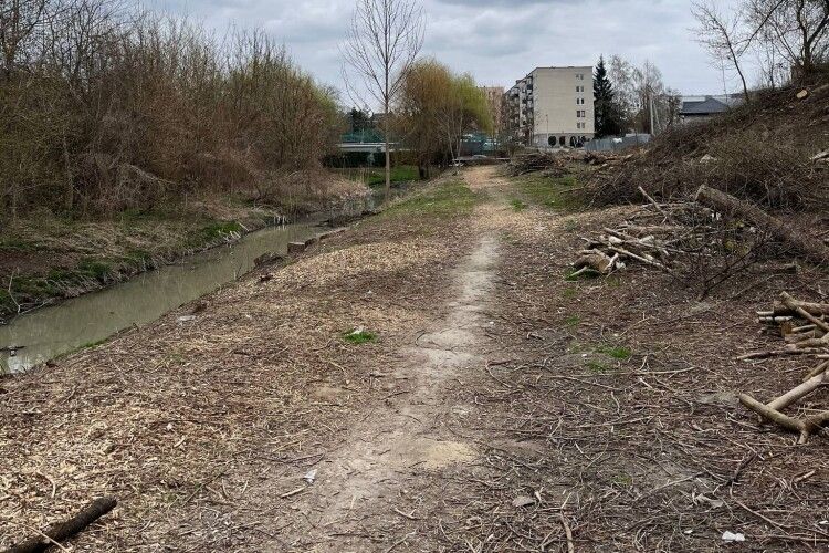 «Зрізали під нуль»: у Луцьку вздовж Сапалаївки масово знищили дорослі дерева