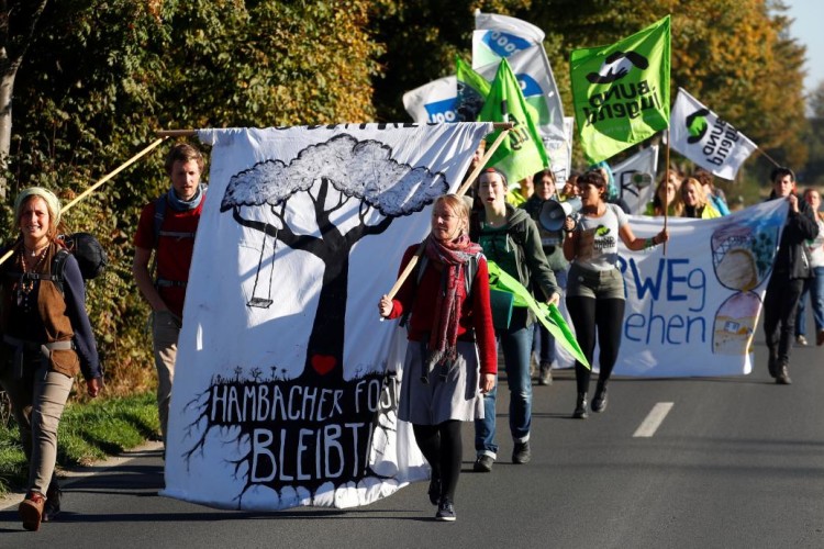  У Німеччині тисячі людей протестували проти вирубки Гамбахського лісу 