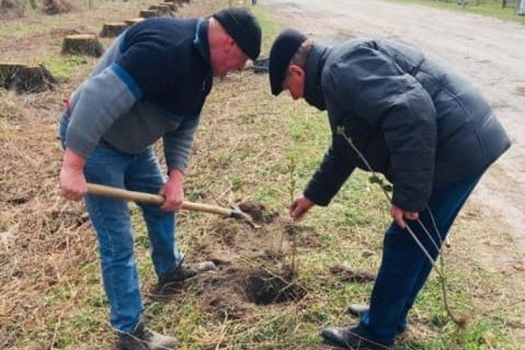 У Тростянецькій громаді подбали про квітуче майбутнє
