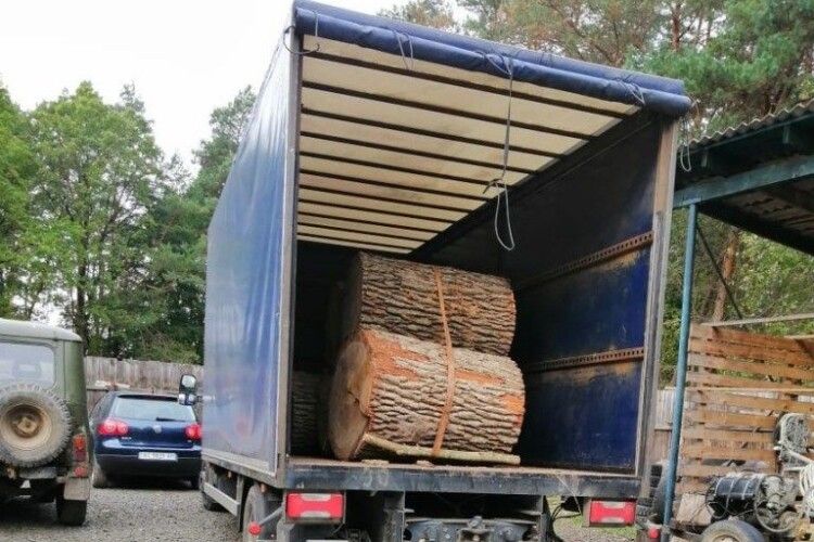 На Ківерцівщині затримали вантажівку з краденим дубом