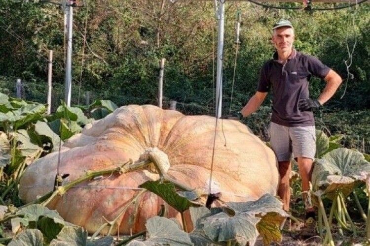 Фермер виростив гарбузище вагою 1226 кг