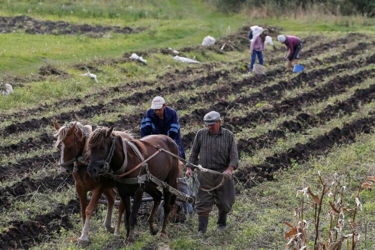 Задля популяризації традиційного українського села знімуть серіал «Фермери»