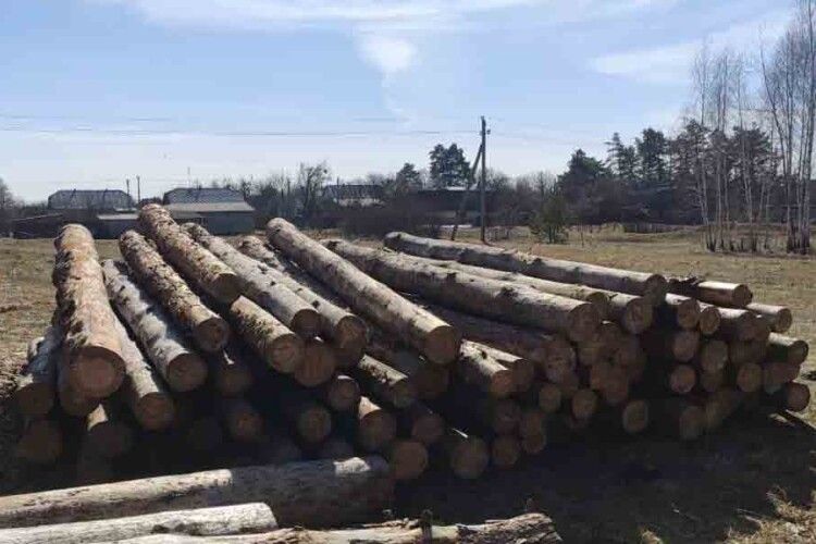 На Волині знову вилучили з пилорами нелегальну деревину