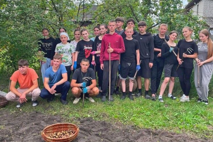 На Волині школярі зібрали врожай картоплі для мами захисника (Фото)