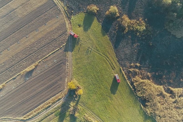 Півгектара очерету згоріло на Рівненщині