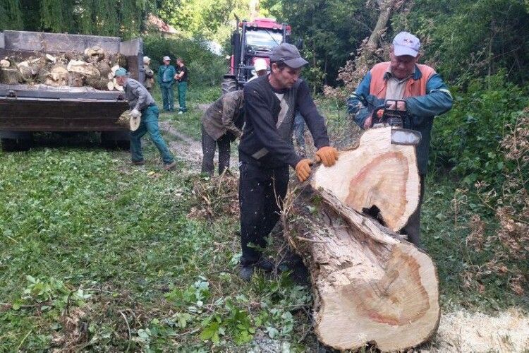 Малозабезпеченим та родинам військових у Луцьку пропонують безплатні дрова