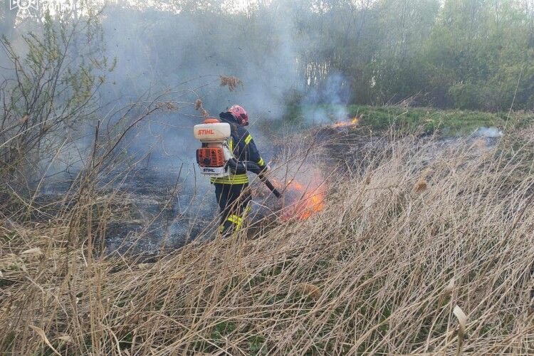 Палало сміття та суха трава: волинські вогнеборці приборкали дві пожежі
