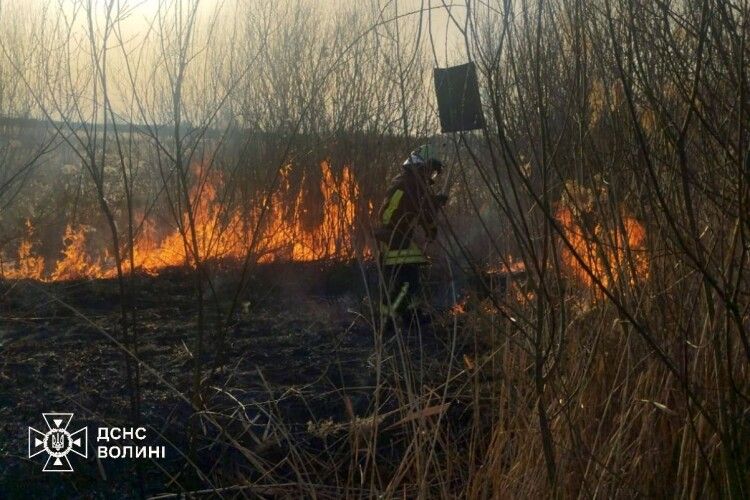 На Волині в неділю палії сухостою влаштували 8 пожеж (Фото)