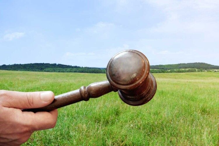 Манікюрниця з Волині допомогла закарпатській фірмі виграти 70 земельних аукціонів