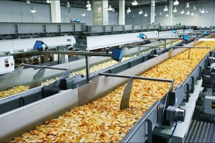 PepsiCo планує побудувати в Україні завод із виробництва чіпсів Lay's