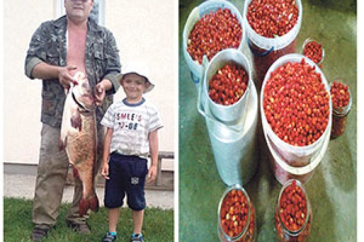 ХОЧЕШ РИБКУ ЇСТИ, МУСИШ У ВОДУ ЛІЗТИ