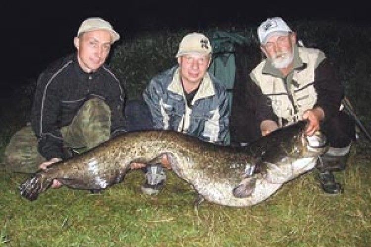 СОМ ЗАВАЖИВ 39 КІЛОГРАМІВ!