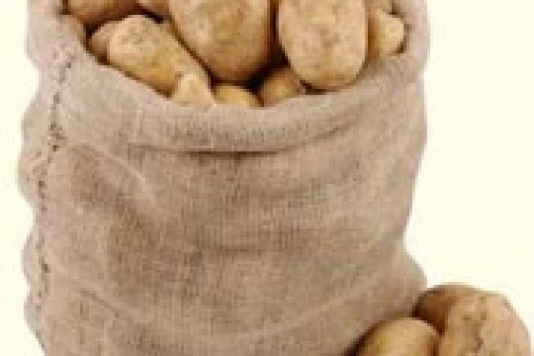 НА КАРТОПЛІ ЦЬОГО РОКУ НЕ ЗАРОБИШ?