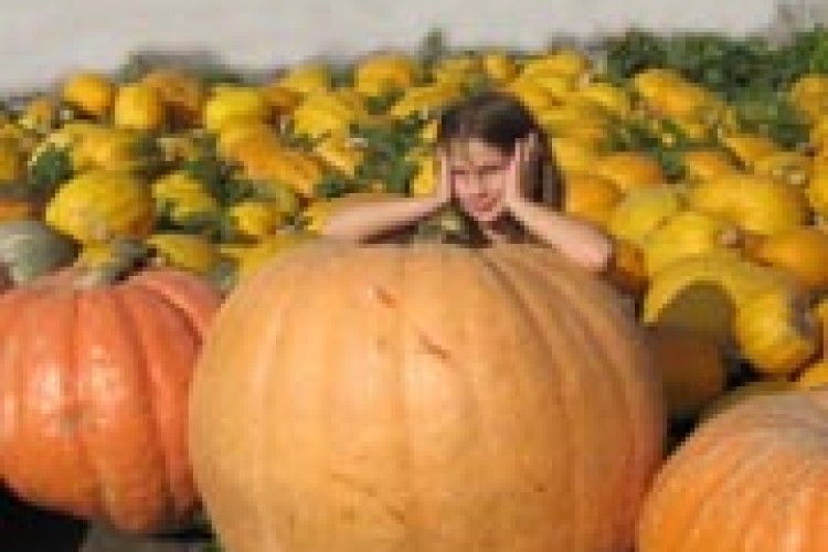 ЗВОРОТНИЙ ЗВ’ЯЗОК: переможець жовтня — Петро Кравчук