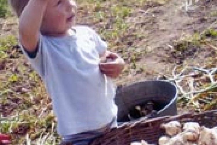 ФОТО НА КОНКУРС: хлопчик-помагай