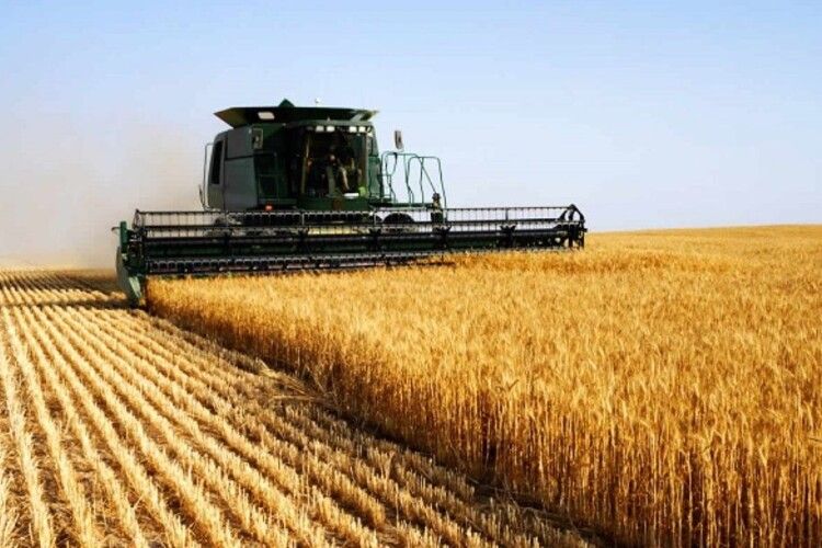 На Волині та Рівненщині найменш активно торгують аграрною землею