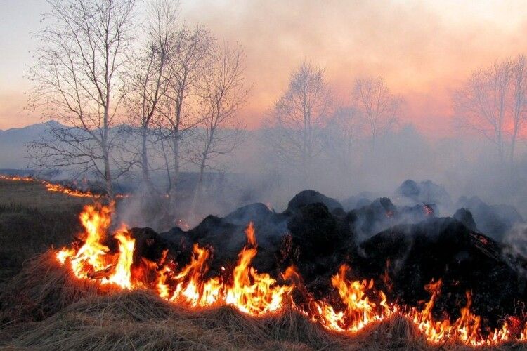 За минулий тиждень рятувальники ліквідували 39 пожеж, 19 з них в екосистемах