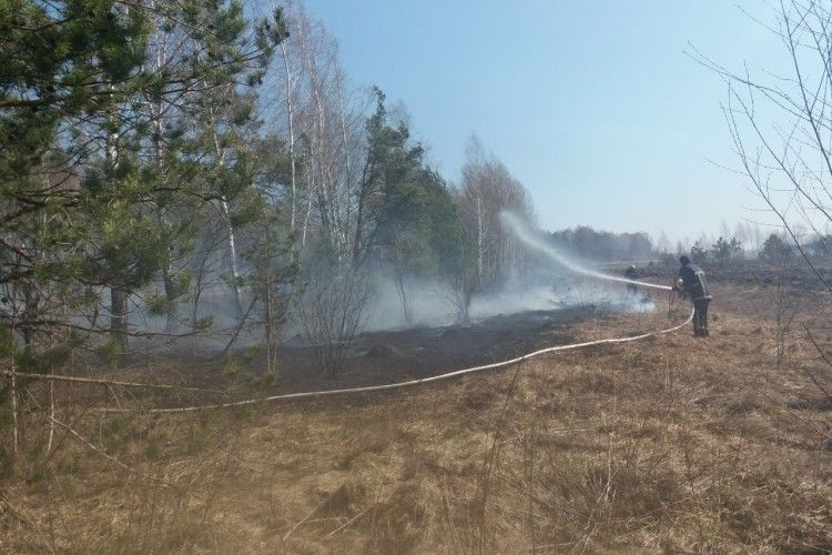 Волинська область: за минулу добу рятувальники ліквідували 19 (!) пожеж трав’яного настилу