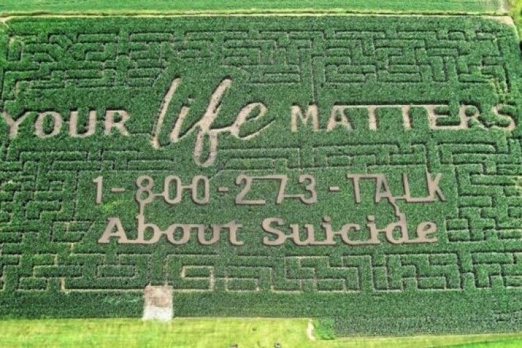 У США фермер рятує людей від самогубства кукурудзяним полем