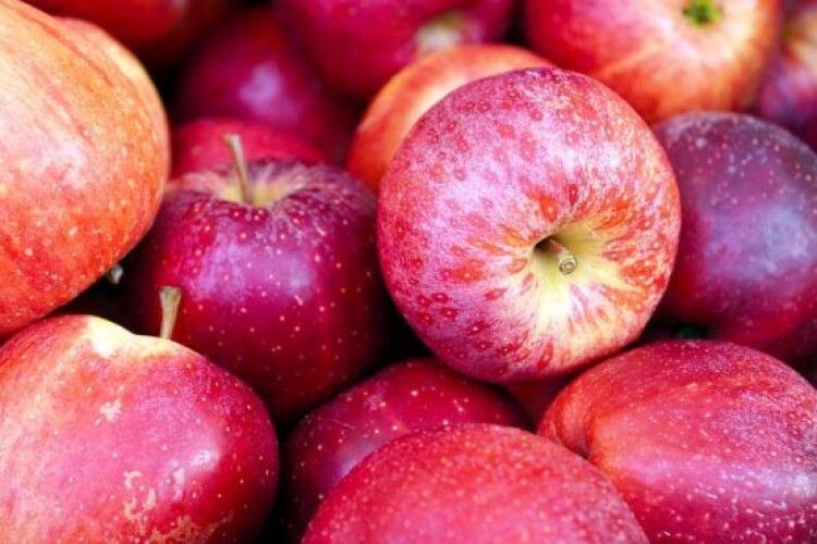 35 країн світу рекордними темпами наминають українські яблука