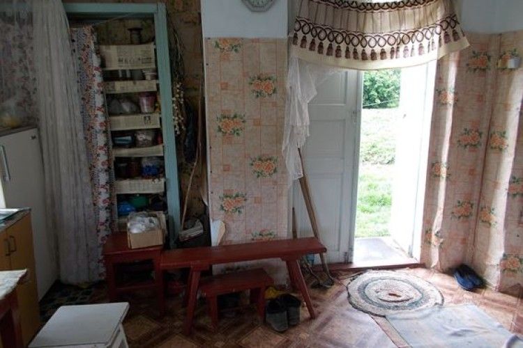 Бабо, дайте води напитися (а ми поки вашу хату «потрясемо») (фото)