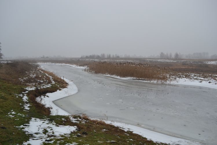 Поліські річки починають замерзати