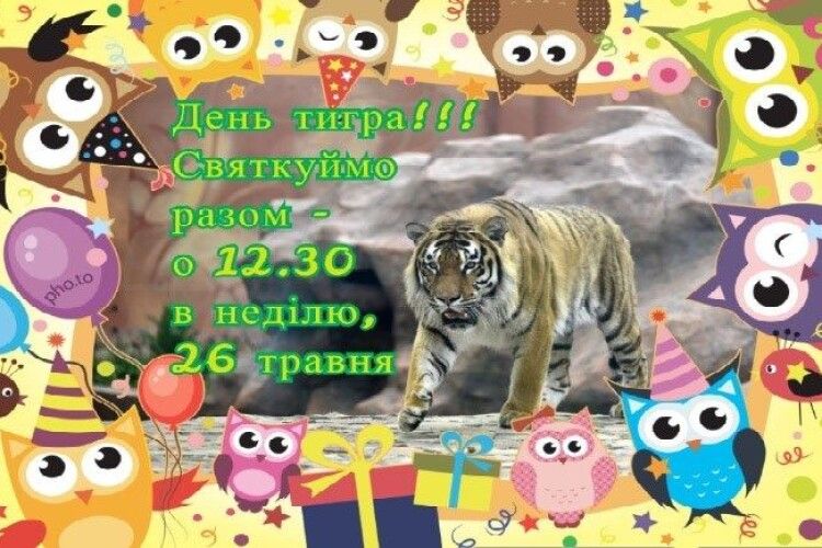 У неділю Луцький зоопарк кличе на День тигра