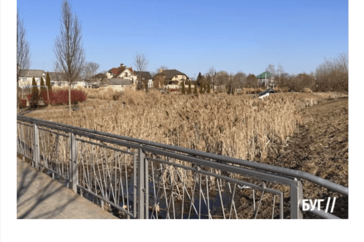 У великому місті на Волині заросла річка, як джунглі