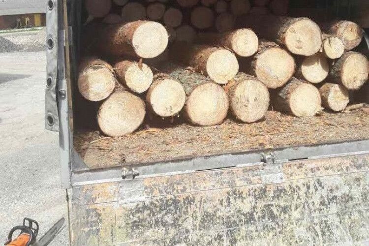 У вантажівці виявили деревину без документів