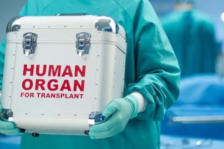 У Єгипті виявили найбільшу міжнародну мережу з продажу людських органів