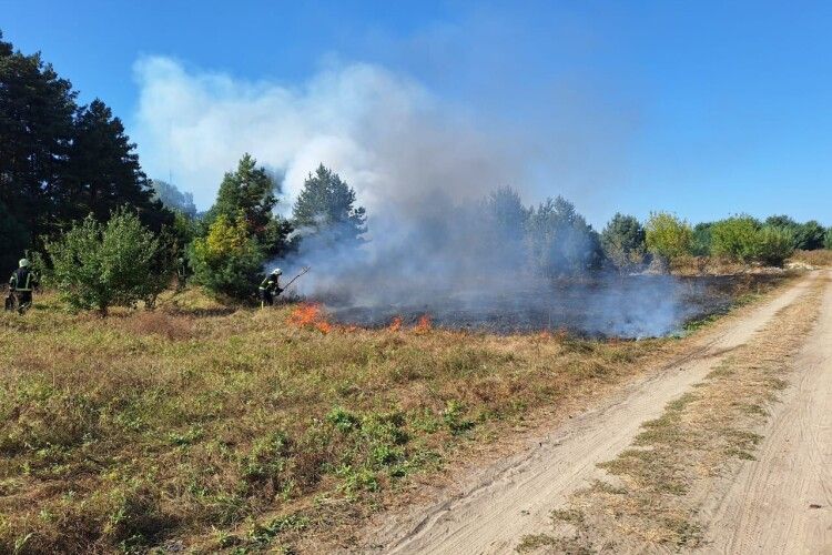 На Волині горіли суха трава, чагарники та ліс: винуватців оштрафували