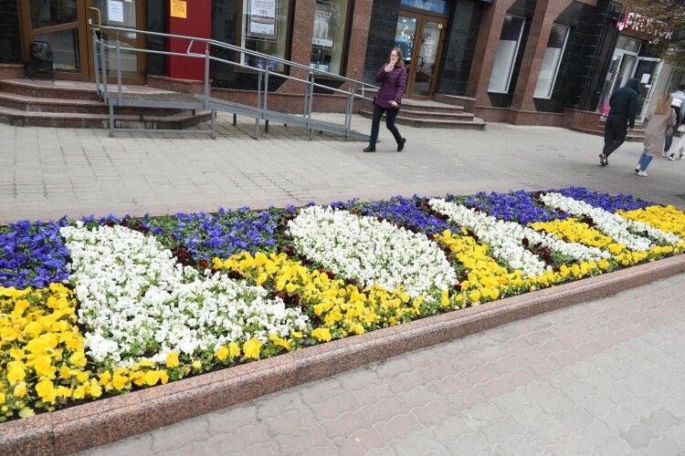 В центрі Луцька з квітів виклали напис «Воля» (Фото)