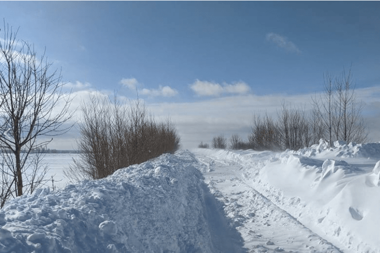 Знайшли неподалік села: замерзла 41-річна волинянка, яка вночі поверталася додому зі сусіднього села