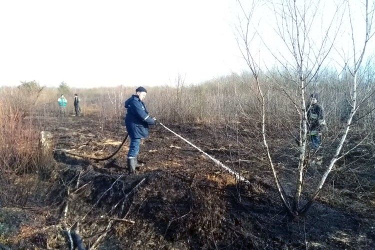 У Фалемичах, Іваневі та Ольганівці горіла суха трава
