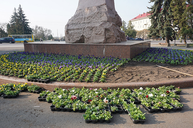 Чим сьогодні у Луцьку прикрасили пам'ятник Тарасу Шевченку (Фото)
