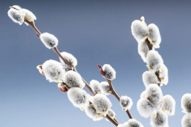 Якою буде погода протягом цього тижня на Волині