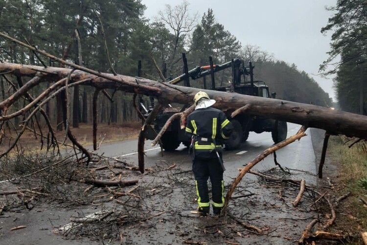 У Ківерцівській громаді через негоду на дорогу впало дерево (Фото)