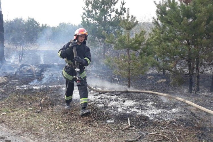 У суботу на Рівненщині весь день горіли чагарники